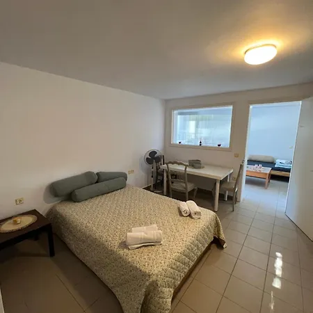 Pejic Палиури