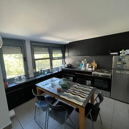 Pejic Палиури