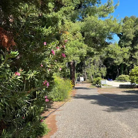 Pejic Дом отдыха Палиури