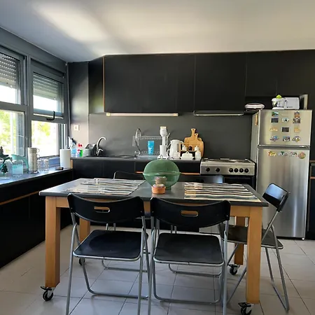 Pejic * Палиури