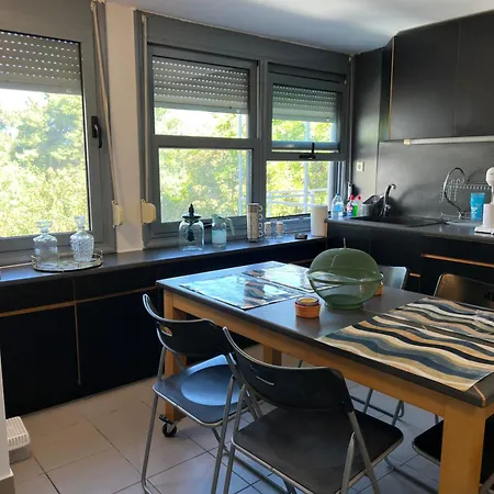 Pejic Палиури