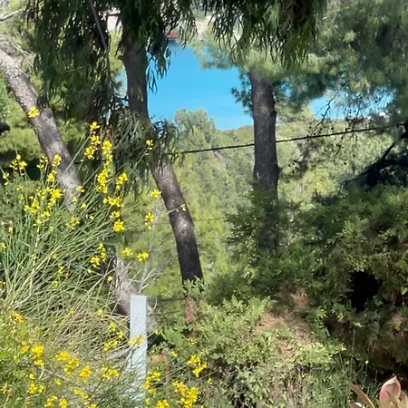Pejic Σπίτι διακοπών Παλιούρι