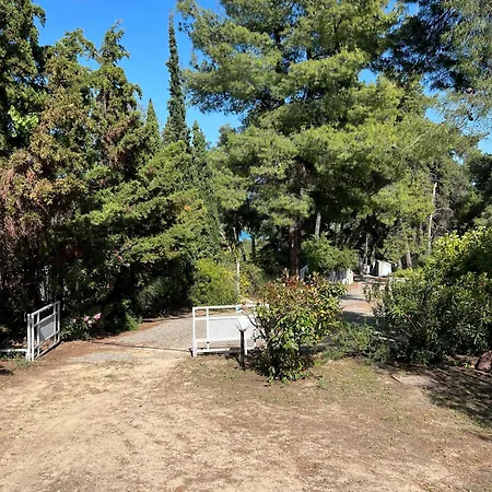 Dom wakacyjny Pejić