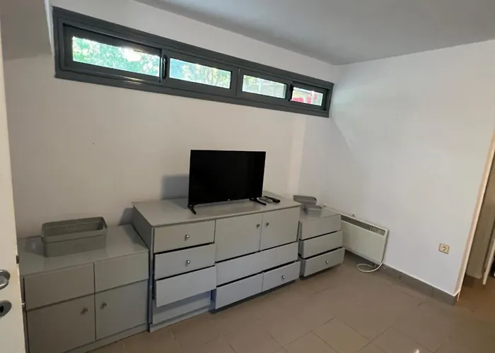 Pejić * Paliouri