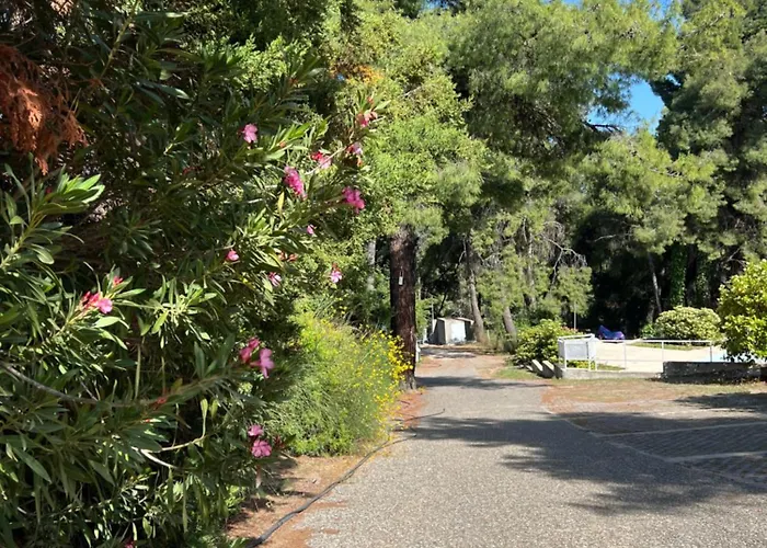 Pejić Hébergement de vacances Paliouri